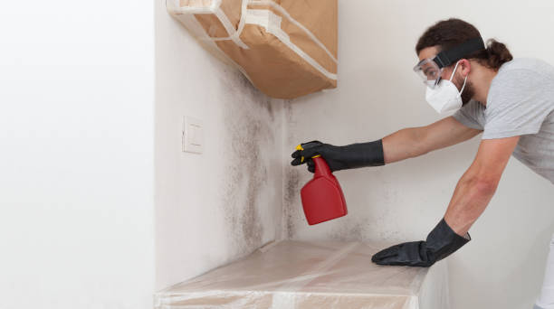 Professional Crawl Space Mold Remediation technician working in Olivia, NC